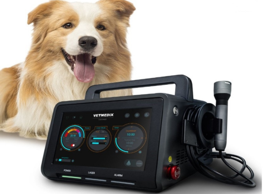 Veterinary laser treatment