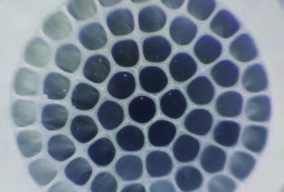 FIBER ARRAY Fused Optic Fiber Bundles