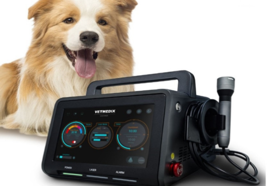 Veterinary laser treatment