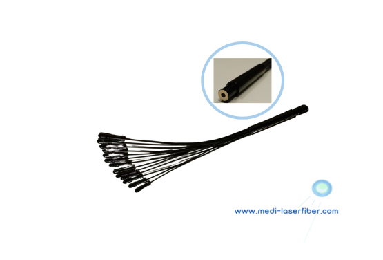 fiber array-2 fiber array-2